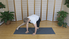 The Somatic Spinal Twist
