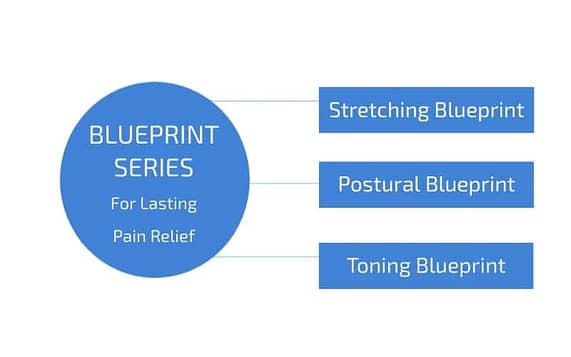Blueprint Series for Lasting Pain Relief